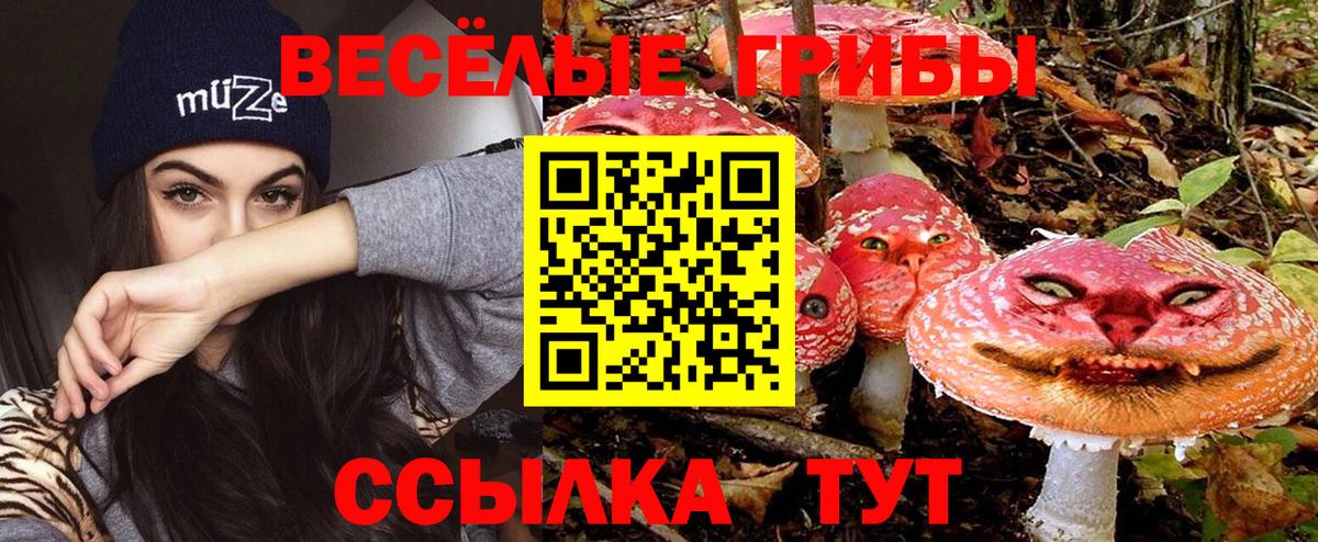 Ревда  Псилоцибиновые грибы ЛСД  Вход с VPN 