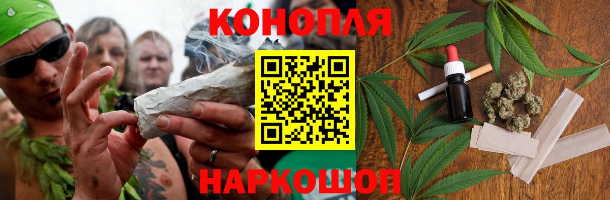 Шишки марихуана планчик Ревда
